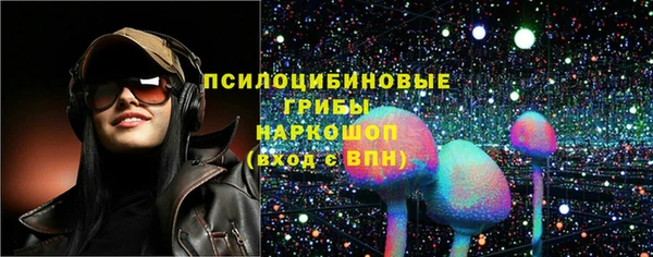 ГАЛЛЮЦИНОГЕННЫЕ ГРИБЫ Губаха
