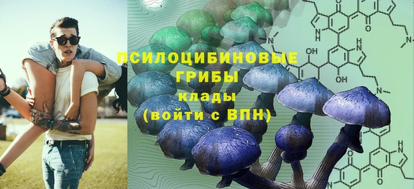экстази Алексин