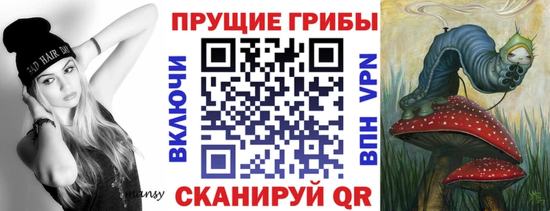 купить наркоту  Канаш  Галлюциногенные грибы Magic Shrooms 